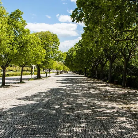 Hotel Park & Lisboa